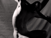 "Gallows" © 2010 Siera