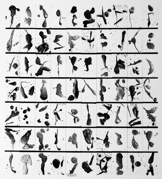 crane_tarfindings
