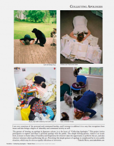 Afterimage Vol. 38 No. 1