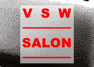 Black and white pixelized gradient with a transparent white rectangle centered. On the rectangle it reads VSW Salon in red letters.