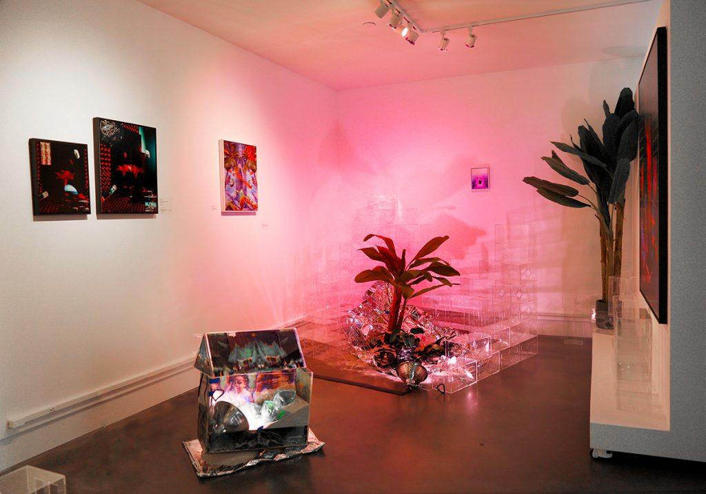 Art installation in a gallery. Includes images on the wall and floor-based installation with plants.
