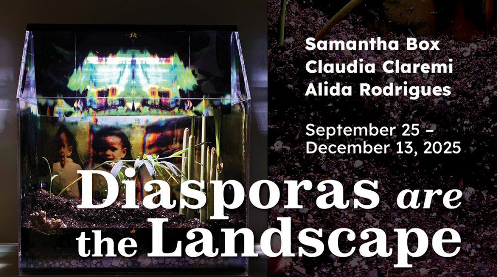 Diasporas are the Landscape promo image with photograph of "Portable Homeland" still life.