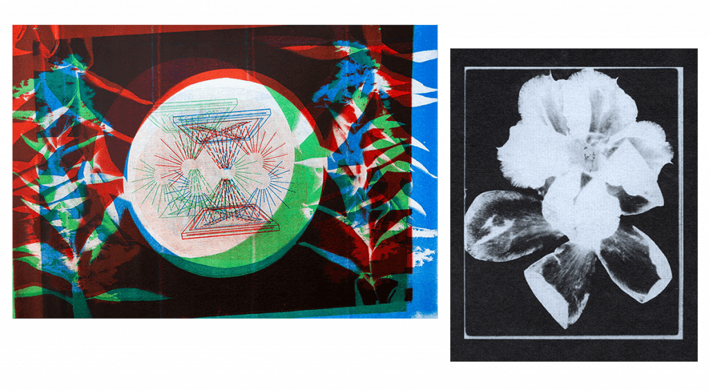 Two electrostatic prints, one is abstract, and the other is of a flower.