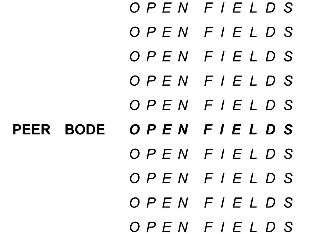Peer Bode: Open Fields