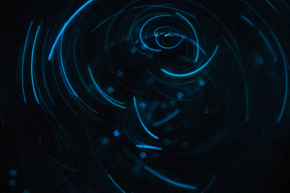 Black image with small, blue swirls.