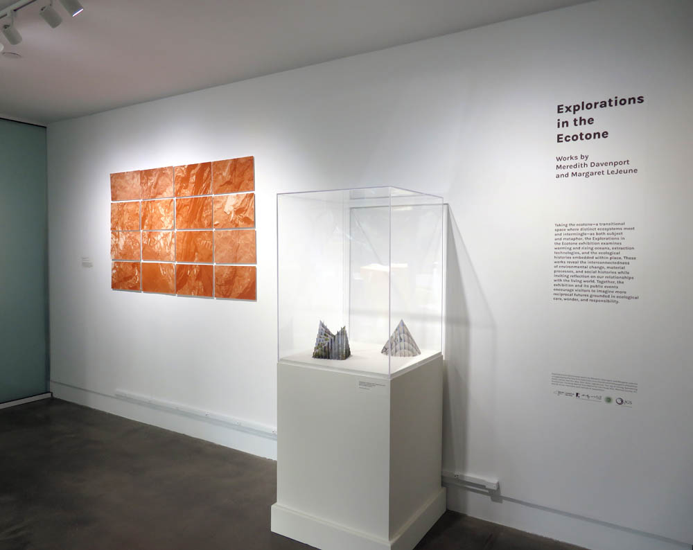 A gallery wall with a large, sepia colored grid, a glass vitrine case holding two sculptures, and text related to the exhibition.