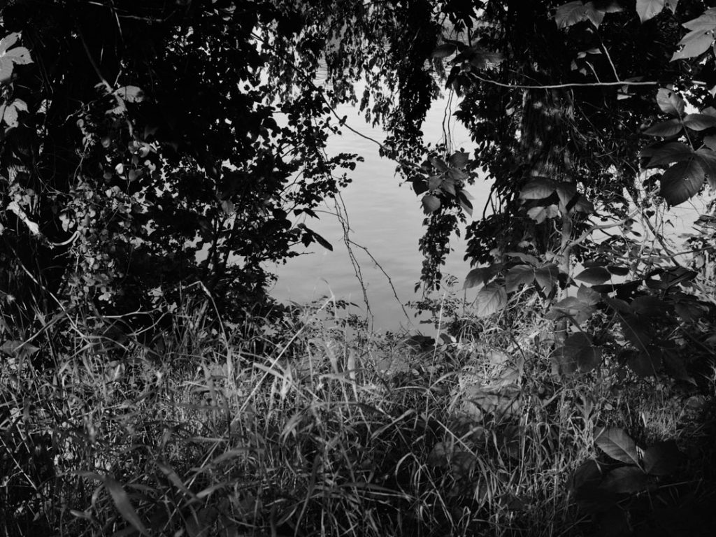 Black and white photograph of a view from inside some trees.