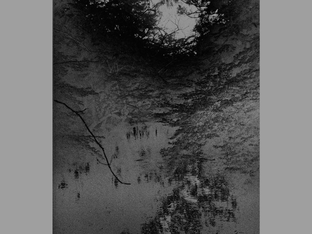 Dark photographic image of water and trees