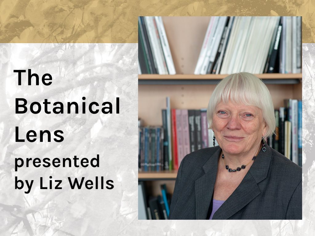 Photo of Liz Wells standing with Books