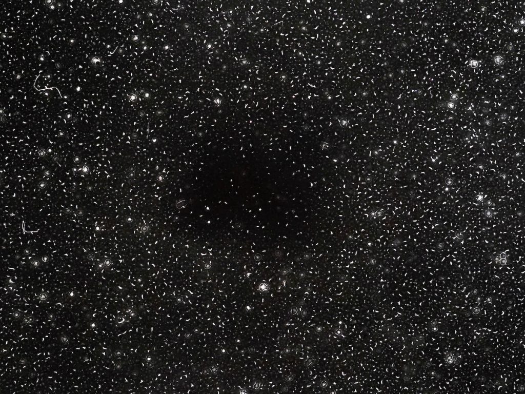 A black image with small white dots, as if a night sky.