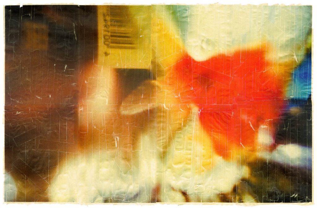 Photographic work of a goldfish, abstracted.