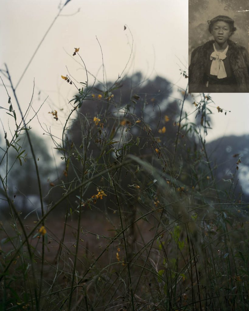 A photographic image of a flower bush with another photo of a young woman in the upper right corner.