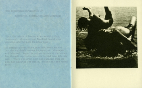 <strong>Bea Nettles</strong> The Nymph of the Highlands[page 15-16] Printed at Visual Studies Workshop,Rochester, 1974 Offset lithograph and blue tissue paper,14 x 11 x .25 cm Edition of 200,Visual Studies Workshop Collection, Independent Press Archive Z232.5 .V834 Ne-Ny